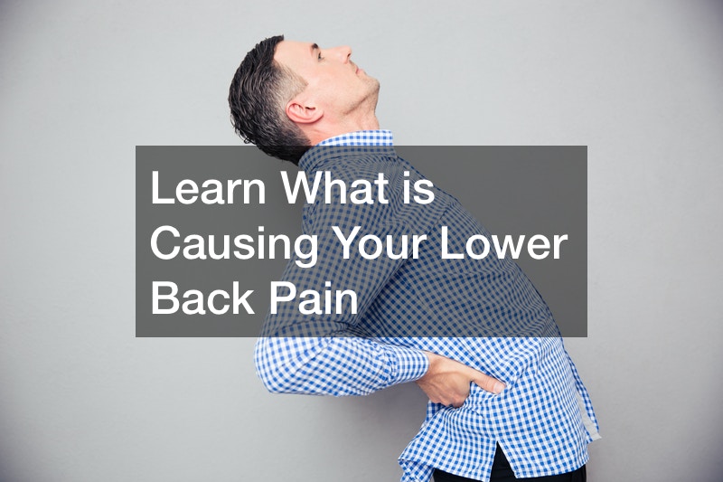 Learn What is Causing Your Lower Back Pain