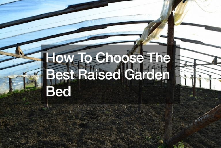 How To Choose The Best Raised Garden Bed